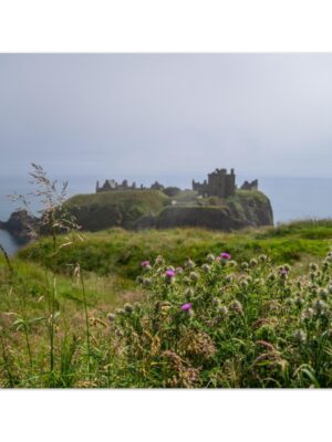 Misty Dunnottar & Highland Thistles, Aberdeenshire, Scotland  -  Blank Inside -  Pack of 10 (standard envelopes) (US & CA Only) Scottish Castle Collection