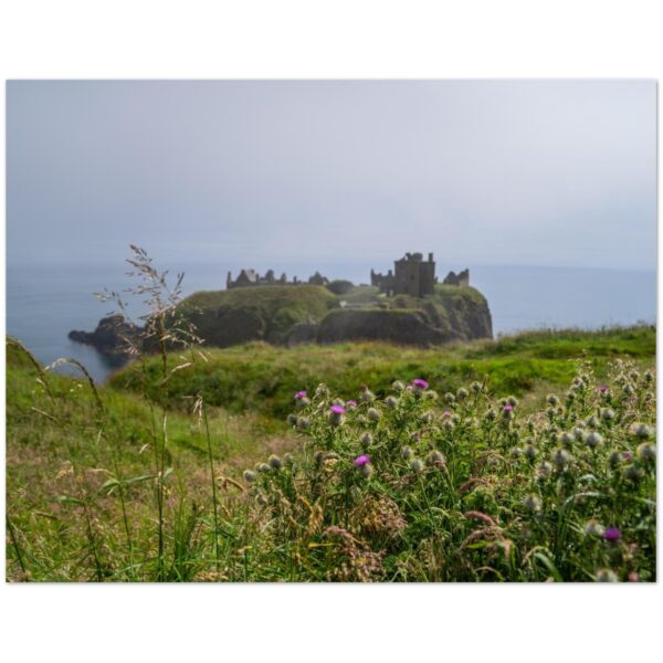 Misty Dunnottar & Highland Thistles, Aberdeenshire, Scotland  -  Blank Inside -  Pack of 10 (standard envelopes) (US & CA Only) Scottish Castle Collection