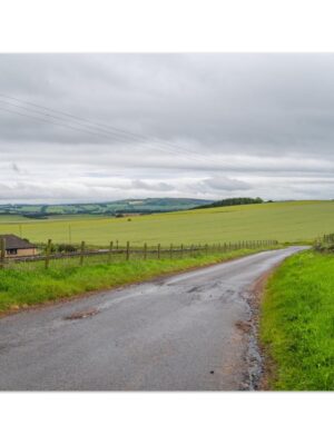 Gorgeous country drive in Angus, Scotland  -  Blank Inside -  Pack of 10 (standard envelopes) (US & CA Only) Scottish Castle Collection