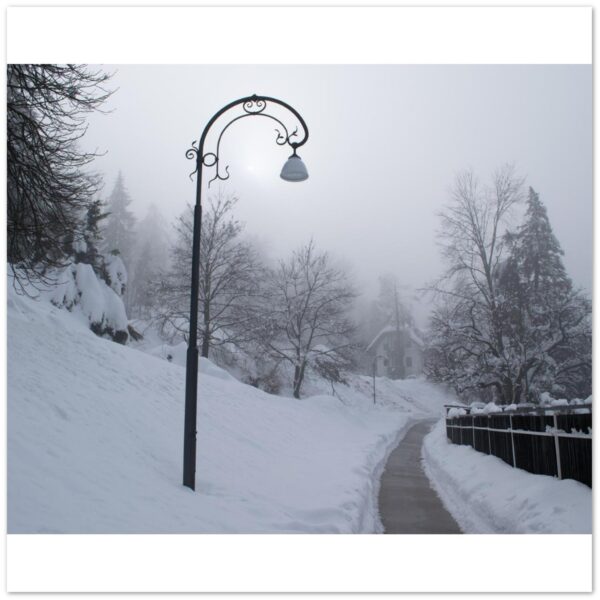 c2c45be4-7cd2-4e88-ac9a-42869686d1ad